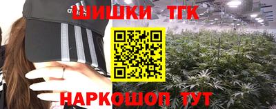 прущие крисы Когалым