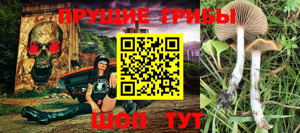 где можно купить наркотик  Галлюциногенные грибы ЛСД  Вход с VPN  Бирск 